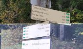 Trail Walking Arâches-la-Frasse - Les Carroz, Mont Favy, pierre à Laya, Araches, remontée par les Nantes praz rôti, retour par les grangettes - Photo 2