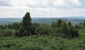 Randonnée A pied Malmedy - Xhoffraix : Les 2 Vallées - Photo 5