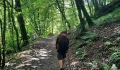 Trail Walking Habay - marche adeps ruelles  - Photo 2