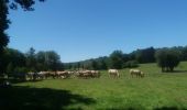 Trail Walking Durbuy - barvaux . durbuy . narvayx - Photo 2