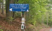 Tocht Stappen Ferrières - Ferrières ... le méandre carré de Nandoyîre. - Photo 3