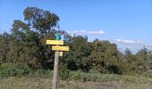 Trail Walking Sernhac - sernhac pont du gard - Photo 5