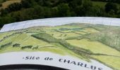 Tour Wandern Ydes - le pic de Charlus - Photo 3