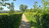 Trail Walking Sluis - Aardenburg 19 km - Photo 4