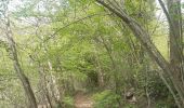 Trail Walking Aywaille - ninglinspo . chefna . fond de quareux  - Photo 3