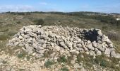 Excursión Senderismo Gruissan - Gruissan - Tour de l'île Saint Martin par l'Ayrolle - Photo 14