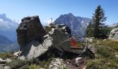 Excursión Senderismo Vallorcine - le Buet,cascade berrard,Loriaz ,Vallorcine - Photo 4