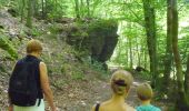 Tour Wandern Daverdisse - Porcheresse - Photo 8