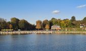 Trail Walking Versailles - Tour du grand canal  - Photo 3