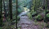 Tour Wandern Stoßweier - Saegmatt Cascade de Stolz Ablass Frankenthal - Photo 11