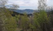 Trail Walking Masevaux-Niederbruck - Bruckenwald 2 - Photo 4