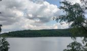 Tocht Stappen Nideggen - Rursee lac et bois - Photo 5