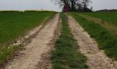 Excursión Bici de montaña Walcourt - Balade dans l'entité de Walcourt  - Photo 6