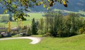 Percorso A piedi Immenstadt im Allgäu - Großer Alpsee Rundwanderweg - Photo 9