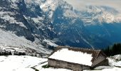 Excursión A pie Grindelwald - Grosse Scheidegg - Scheidegg / Oberläger - Photo 5