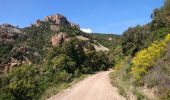 Randonnée V.T.T. Saint-Raphaël - tour Estérel crêtes et vallon - Photo 1