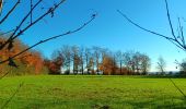 Trail Walking Eupen - nahtsief court - Photo 14