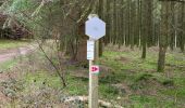 Trail Walking La Roche-en-Ardenne - Samree 190324 - Photo 7