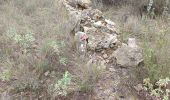 Trail Walking Flayosc - reconnaissance berne circuit jaune  - Photo 5