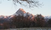 Randonnée Marche Saint-Paul-en-Chablais - La Chapelle d'Abondance - Photo 4