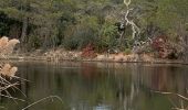 Tour Wandern Roquebrune-sur-Argens - z les mares de la Bouverie 21-12-21 - Photo 1