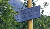 Trail On foot Lecco - Anello del Resegone - Photo 8