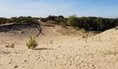 Tour Wandern Koksijde - Coxyde Randonnée schipgat plus variante perso - Photo 10