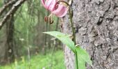 Trail Walking Le Lauzet-Ubaye - Petit et Grand Ferrant par Champ Contier - Photo 2