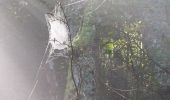 Trail Walking Soultz-Haut-Rhin - Grand ballon  - Photo 2