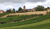 Tour Wandern Saint-Jean-des-Vignes - Bouche de Saint Jean des Vignes à Saint Pierre - Photo 6