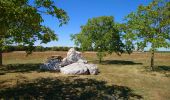 Tour Wandern Bléré - Bléré - Fontenay - 15.9km 145m 3h45 - 2022 07 31 - Photo 4