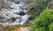 Excursión Senderismo Roquebrune-sur-Argens - ROQUEBRUNE-Le pas de l' Eouvé- MBO - Photo 5