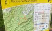 Trail Trail Petit-Bourg - Tambou - Photo 1