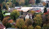 Tour Zu Fuß Bad Soden-Salmünster - Stolzenberger Ritterblick ( Spessartfährten ) - Photo 2