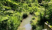 Tour Wandern Chaumont-Gistoux - Sur les traces de la préhistoire  - Photo 10