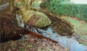 Tour Zu Fuß Apeldoorn - Loenense Enkenpad - Photo 8