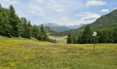 Trail Walking Montgenèvre - Mont Fort du Boeuf depuis l'obélisque  - Photo 2