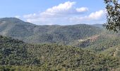 Trail Walking Sainte-Maxime - circuit panoramique Ste Maxime - Photo 1