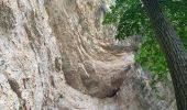 Tour Wandern Châtelus - Cirque du Bournillon - Photo 4