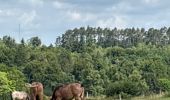Trail Walking Rochefort - Han-sÃ»r-Lesse - Photo 11