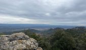 Tour Wandern La Roquebrussanne - La Roquebrussane trace réelle - Photo 12