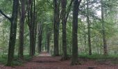 Randonnée Marche Lobbes - Bois... et encore bois ! - Photo 1