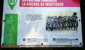 Excursión Marcha nórdica Sainte-Marie-aux-Mines - col Ste Marie aux Mines / Point de vue Soremont / Tête du Violu  - Photo 20