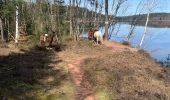 Trail Horseback riding Badonviller - Tour du lac de pierre percée  - Photo 10