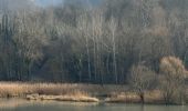 Trail  La Sône - La Sône le sentier du martin pêcheur  - Photo 16