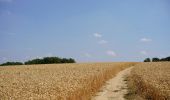 Tour Zu Fuß Unknown - Downlands Circular Walk - Photo 3