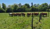 Tocht Stappen Verneuil-sur-Vienne - m'as du puy - Photo 2