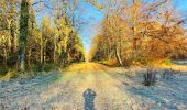 Tocht Stappen Saint-Jean-aux-Bois - en forêt de Compiègne_44_sur les Routes du Moulin et de Berne - Photo 16