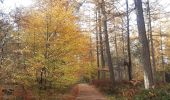 Tocht Stappen Esneux - amostrenne, les crêtes . limon. hestreux . targnon . retour  - Photo 13