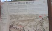 Trail Walking La Palud-sur-Verdon - les malines au point sublime - Photo 3